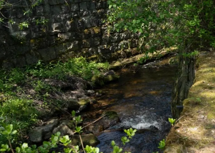 Wiejska Sielanka Struznica